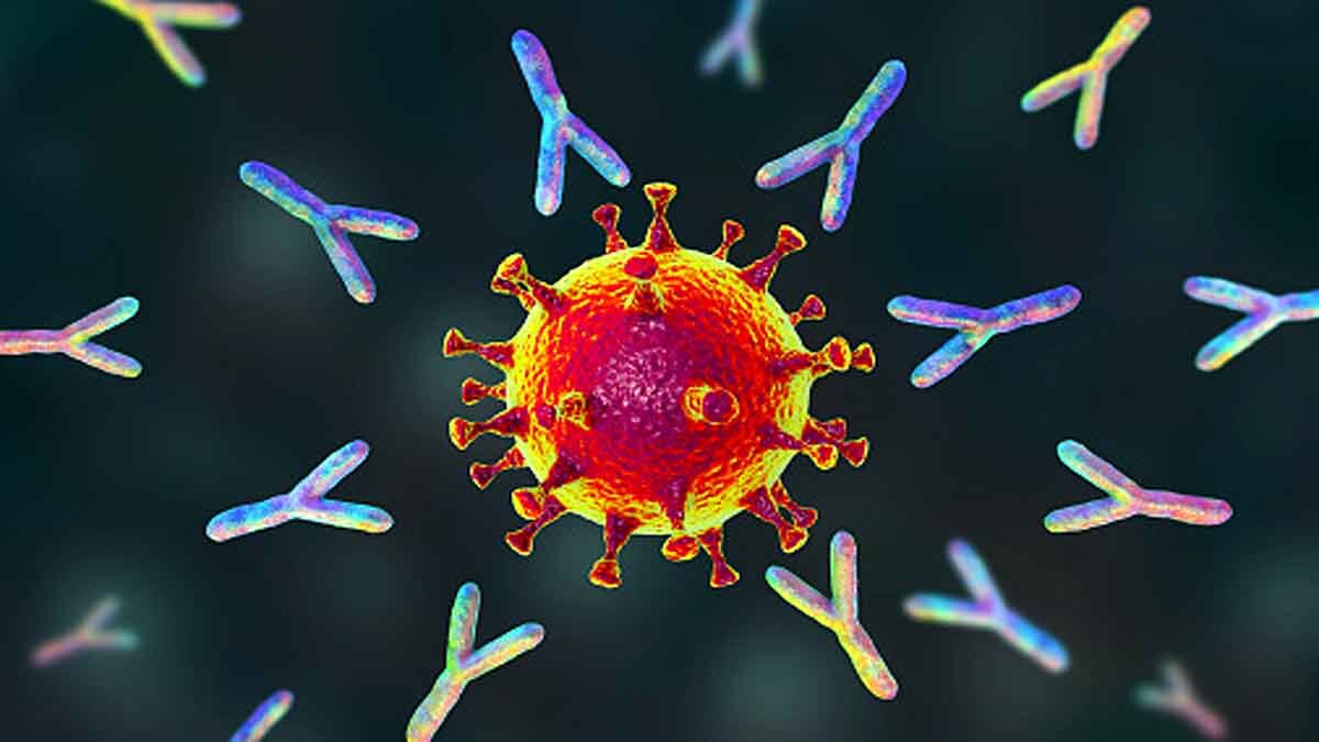 Covid-19 German Research