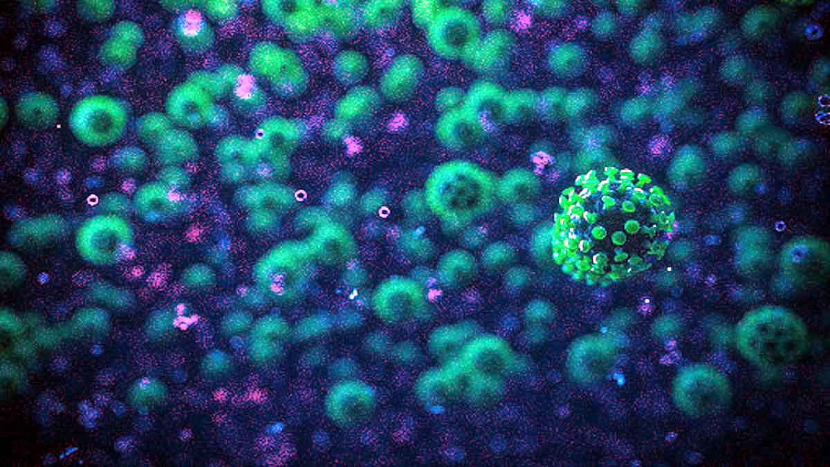  Covid-19 New Lambda Variant