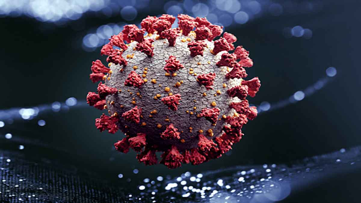  Covid-19 New Lambda Variant