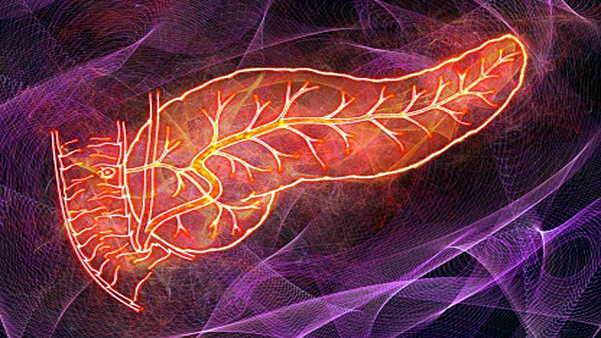 Covid-19 Attack Pancreas Diabetes