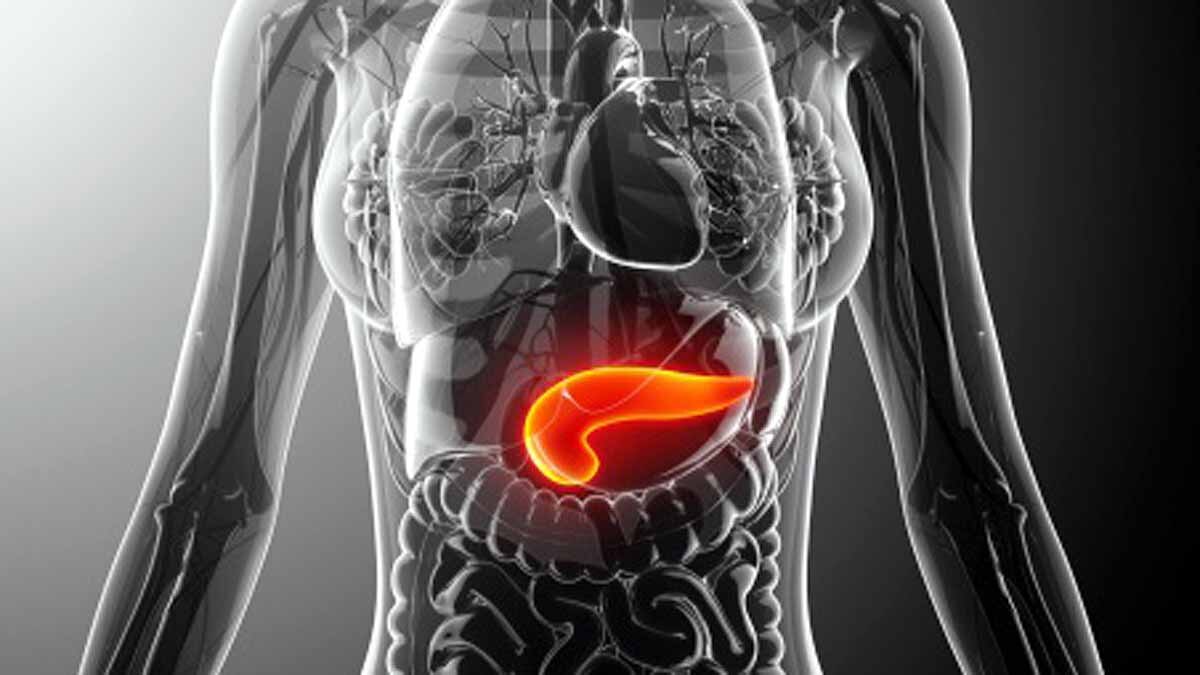 Covid-19 Attack Pancreas Diabetes