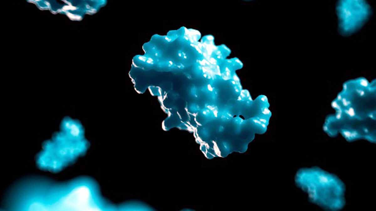 Covid-19 Attack Pancreas Diabetes