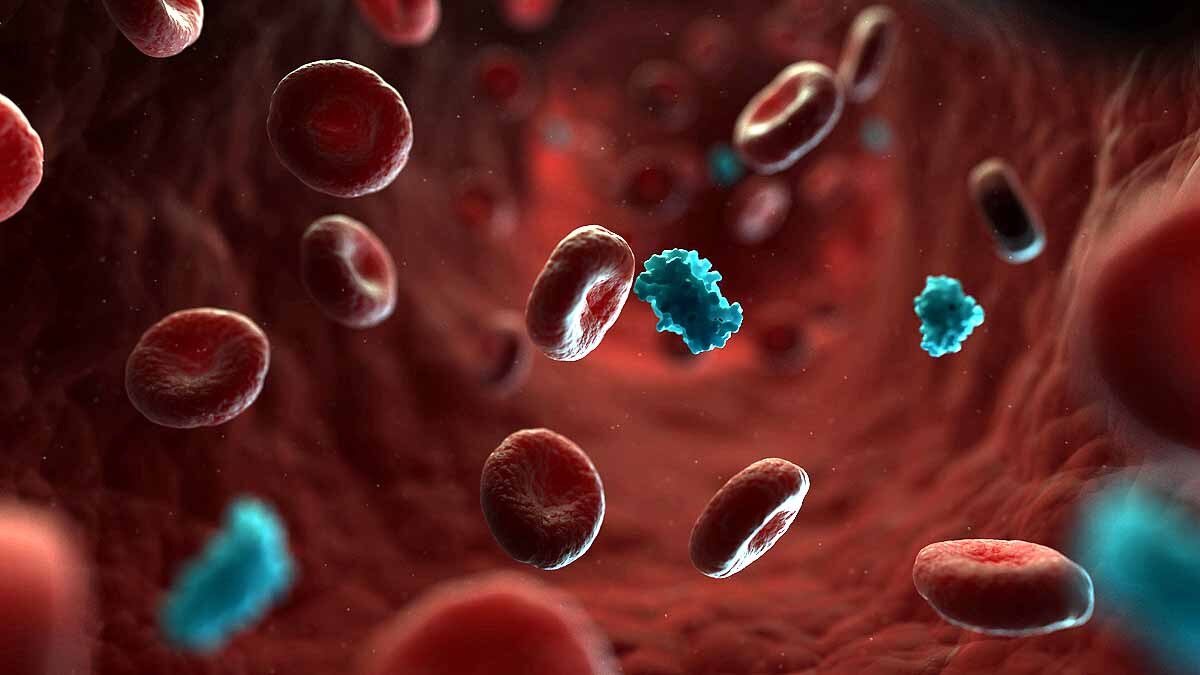 Covid-19 Attack Pancreas Diabetes