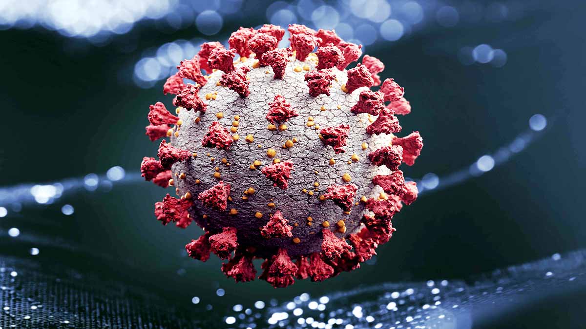 Covid-19 Attack Pancreas Diabetes