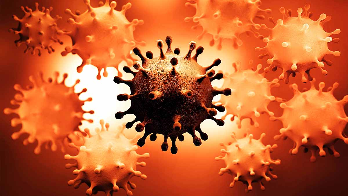 Covid-19 Attack Pancreas Diabetes