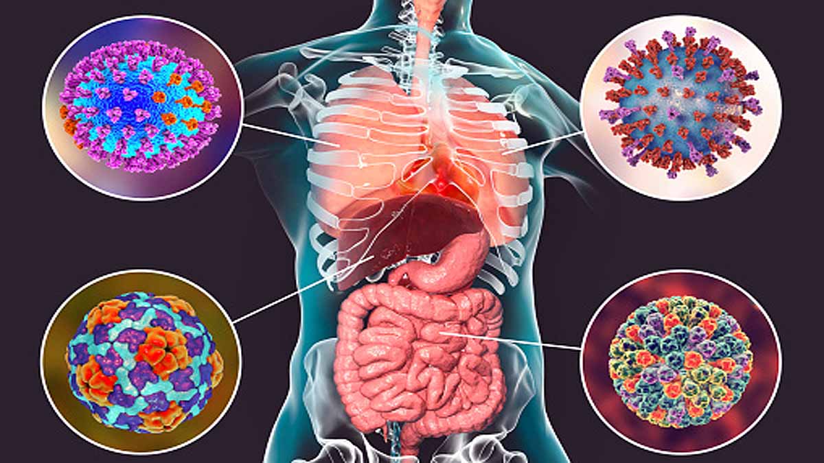 Covid-19 Attack Pancreas Diabetes
