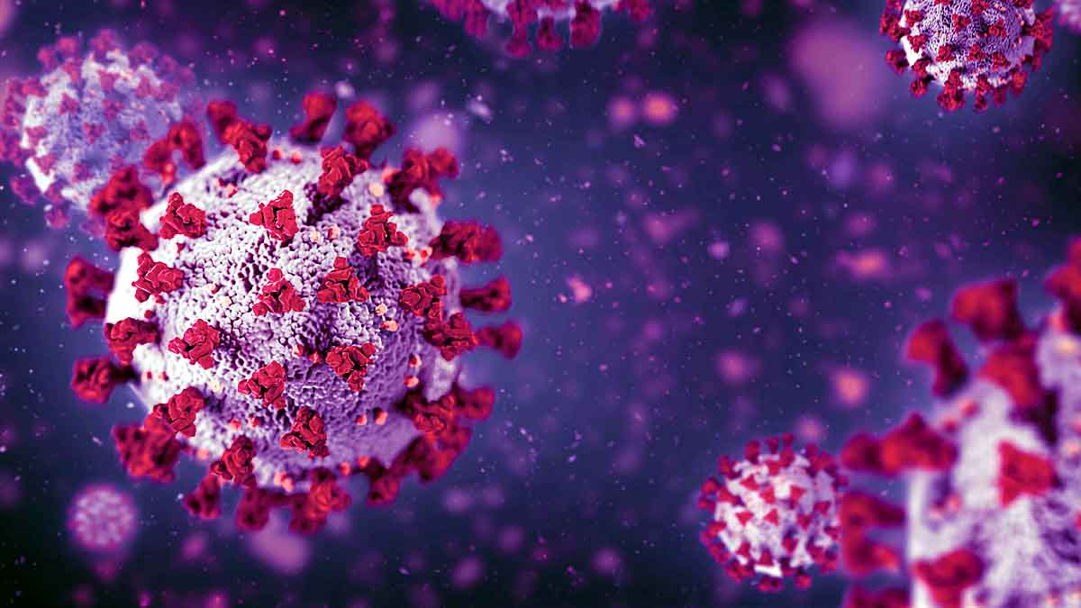 Covid-19 Infection US