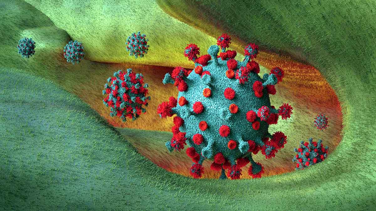 Covid-19 Infection US