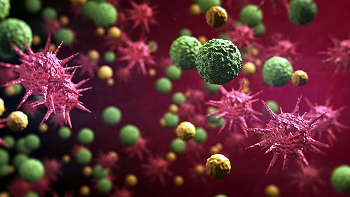 Pfizer Moderna Vaccine