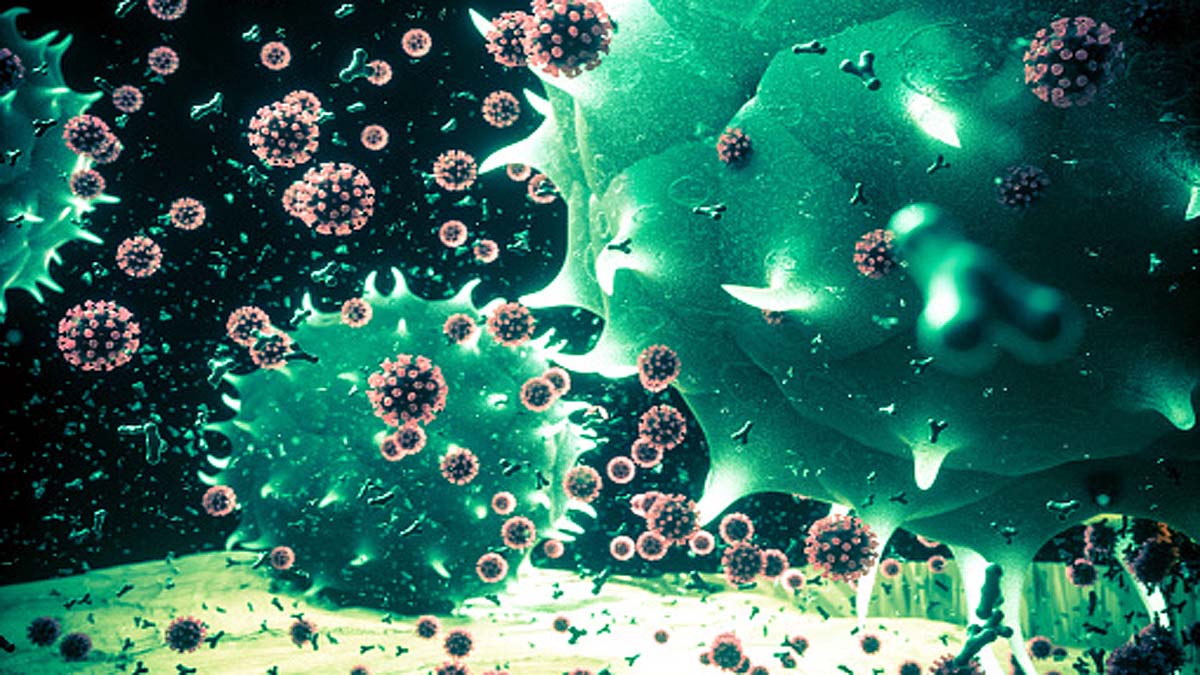 Pfizer Moderna Vaccine