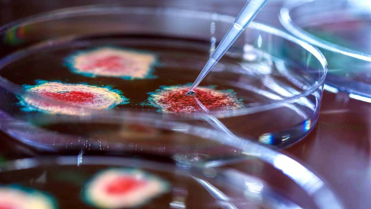 Weight of All Covid-19 Virus
