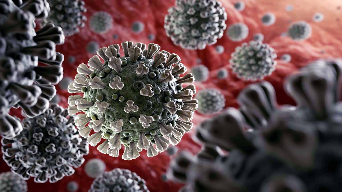Weight of All Covid-19 Virus