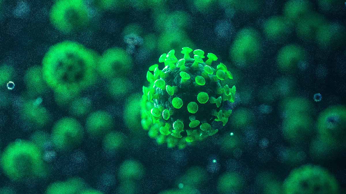 Weight of All Covid-19 Virus