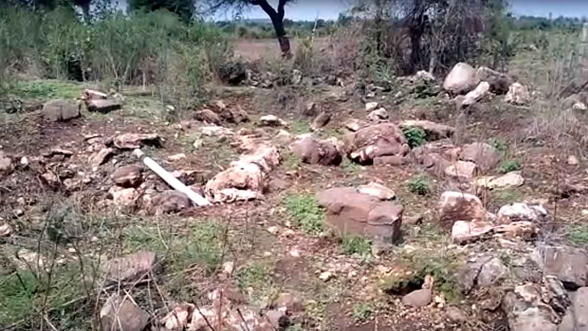 150 Crore Years Old Fossil