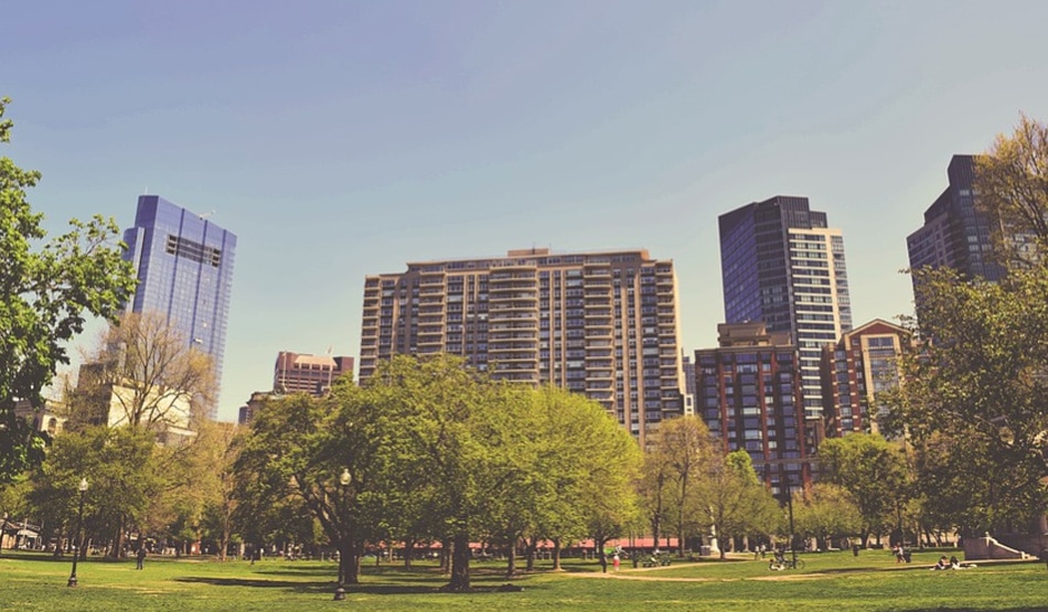 पेड़-पौधे1