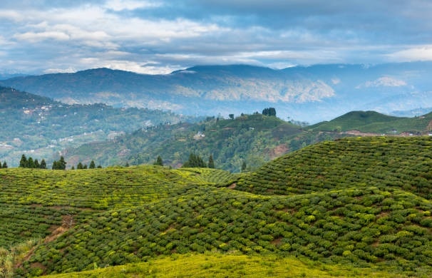 दार्जीलिंग