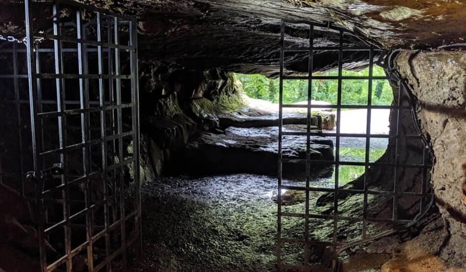 प्रीहिस्टोरिक7