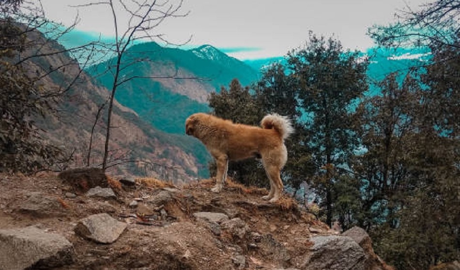 दियोरिया ताल, उत्तराखंड
