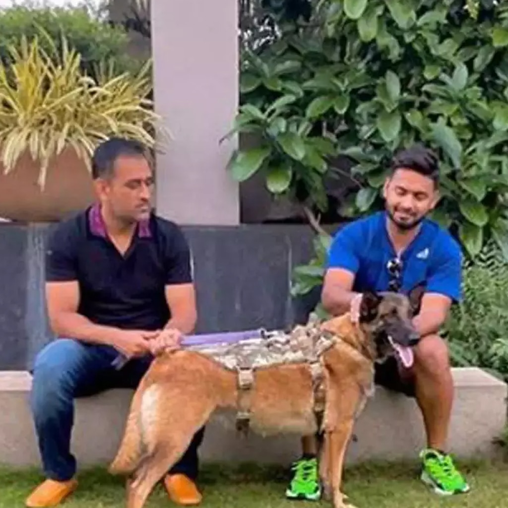 MS Dhoni