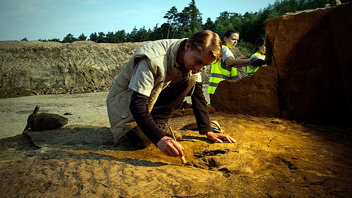 Footprints of Last Dinosaurs