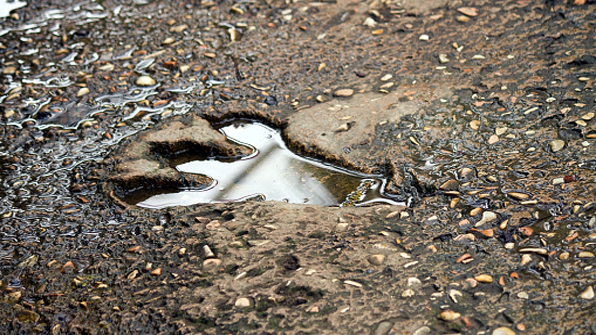Footprints of Last Dinosaurs
