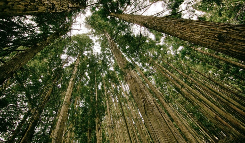 पर्यावरण2