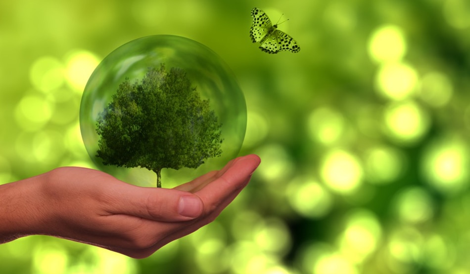 World Environment Day3