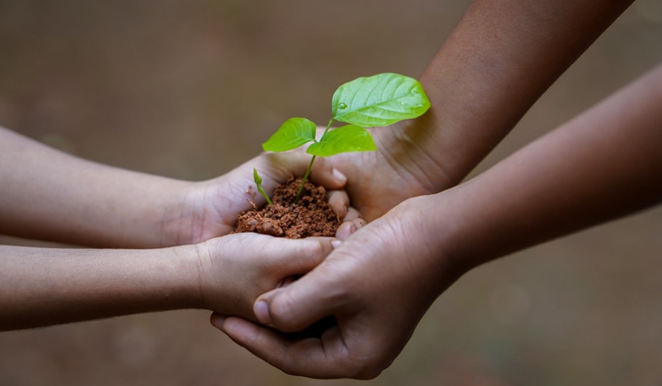 पर्यावरण8