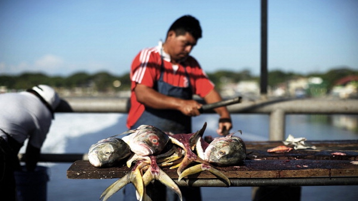 बिटकॉइन से खरीदते हैं राशन