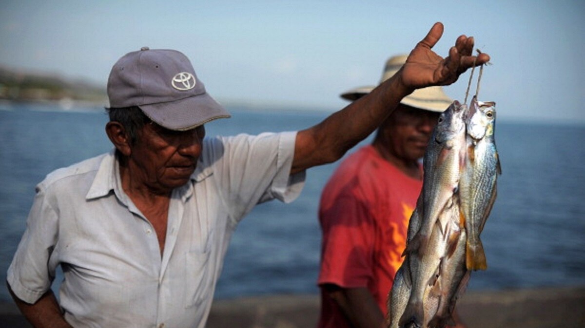 2019 में हुआ ये सफर