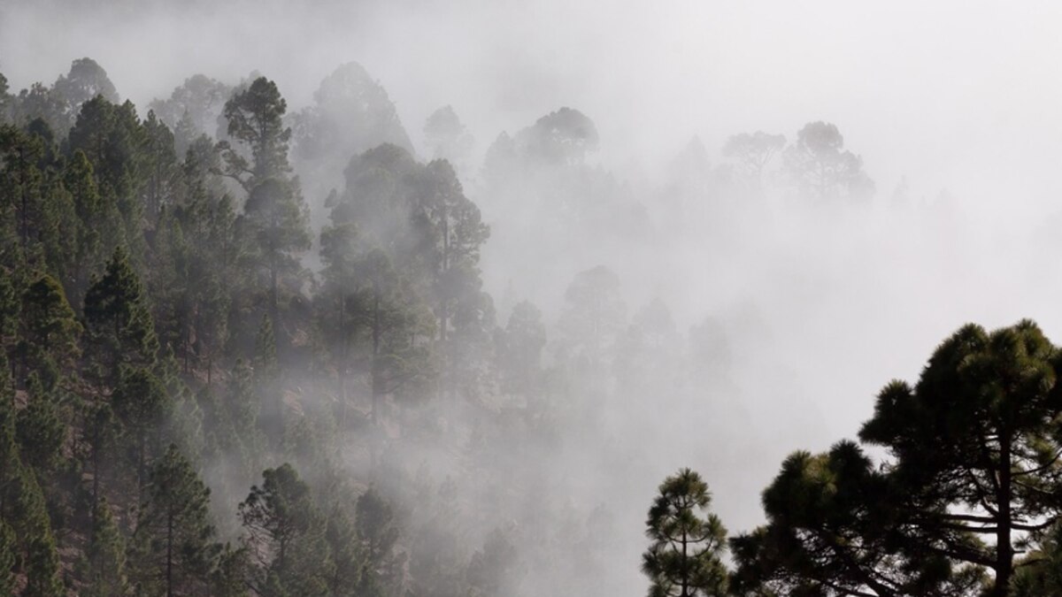 पंचक काल