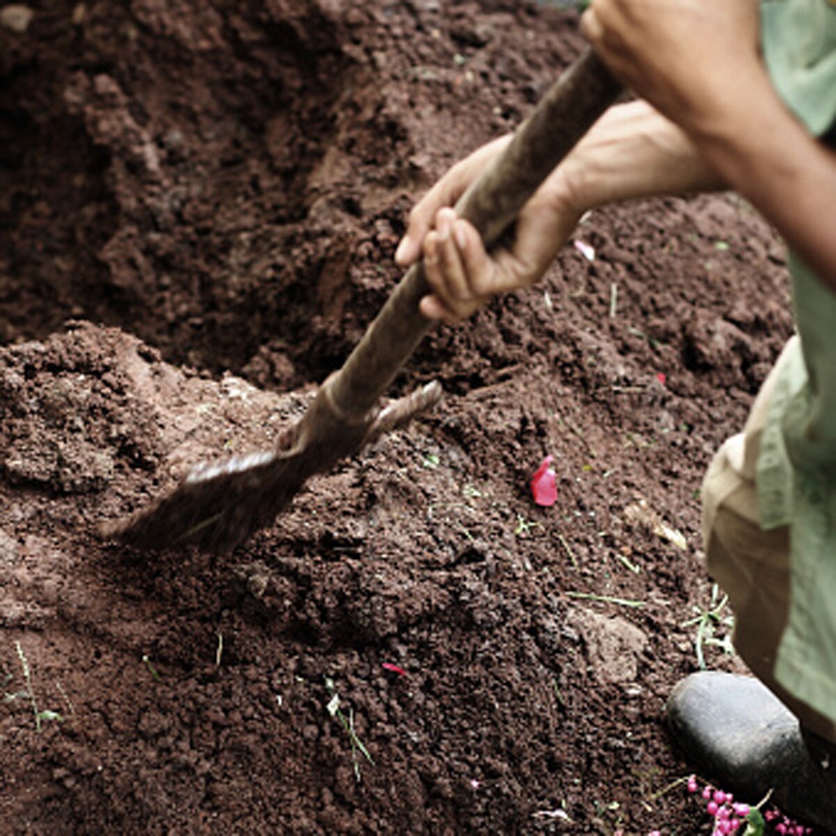 1000 year old chicken egg 