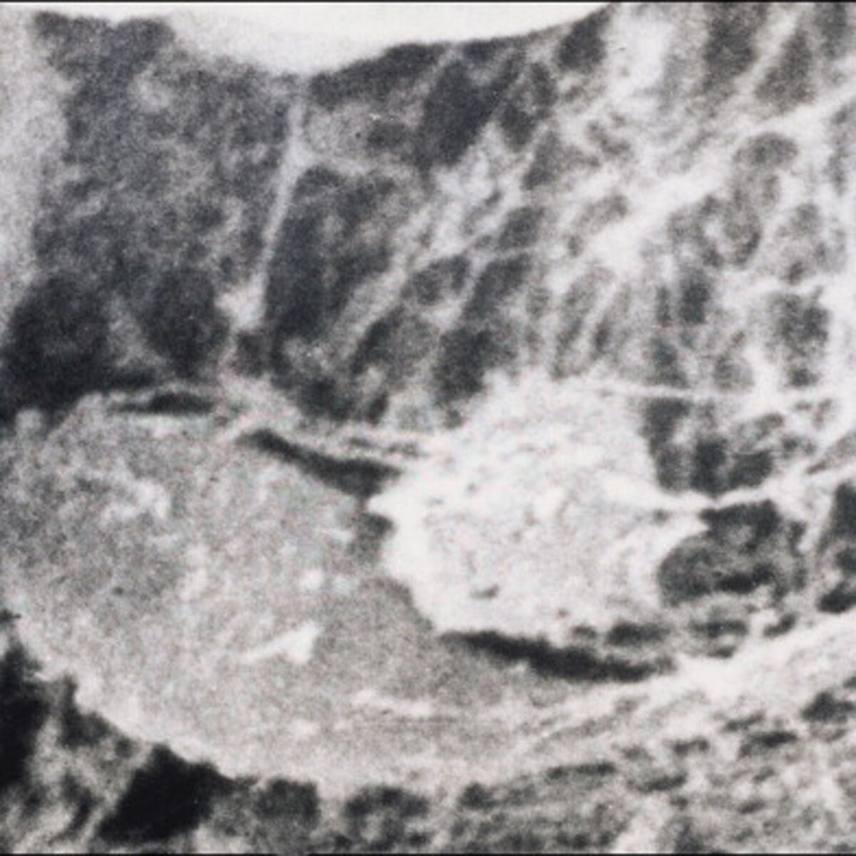 man who fathered thousand children