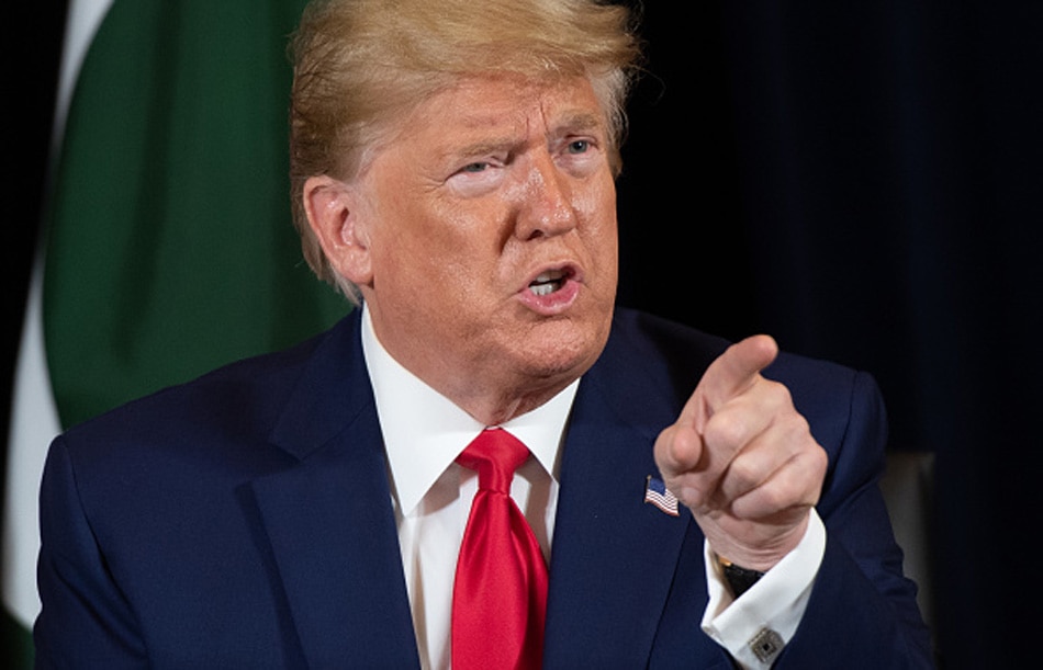 Donald trump doppleganger 