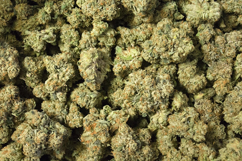 Joints for jabs Covid-19 vaccination  