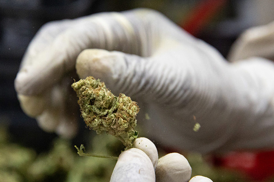 Joints for jabs Covid-19 vaccination