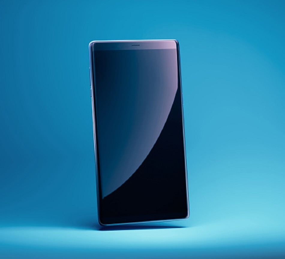 12 mangoes sold for 1.20 lakh