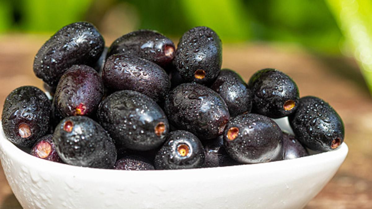 Jamun Benefits: इम्यूनिटी बढ़ाने से डायबिटीज तक, गर्मियों में जामुन खाने के 9 जबर्दस्त फायदे - Health AajTak