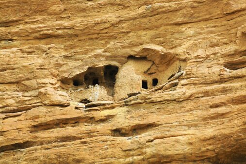 richest man on earth