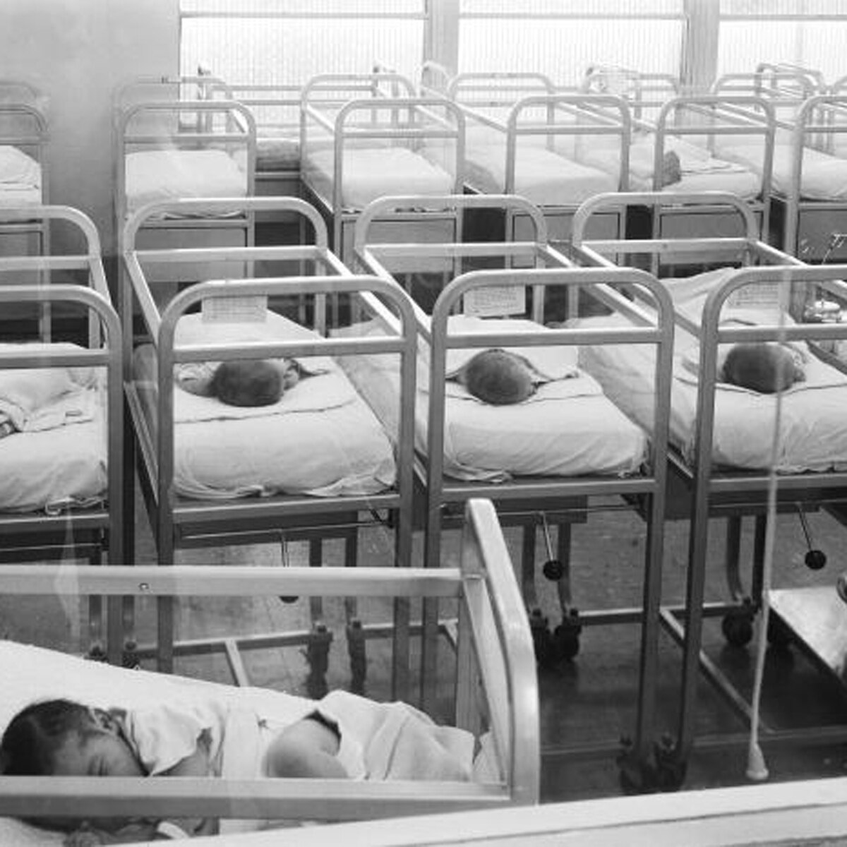 man who fathered thousand children