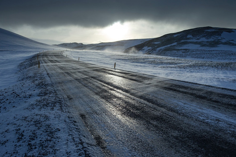 Mosquitoes free Iceland 