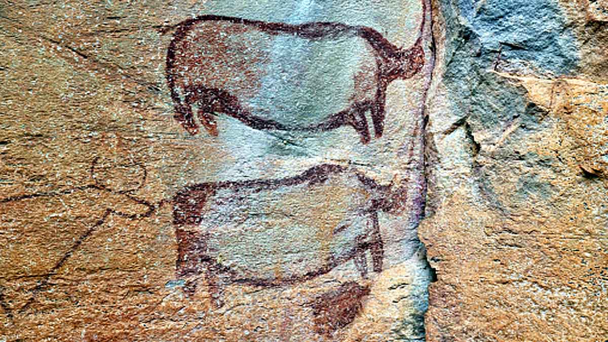 Giant Rhino in China