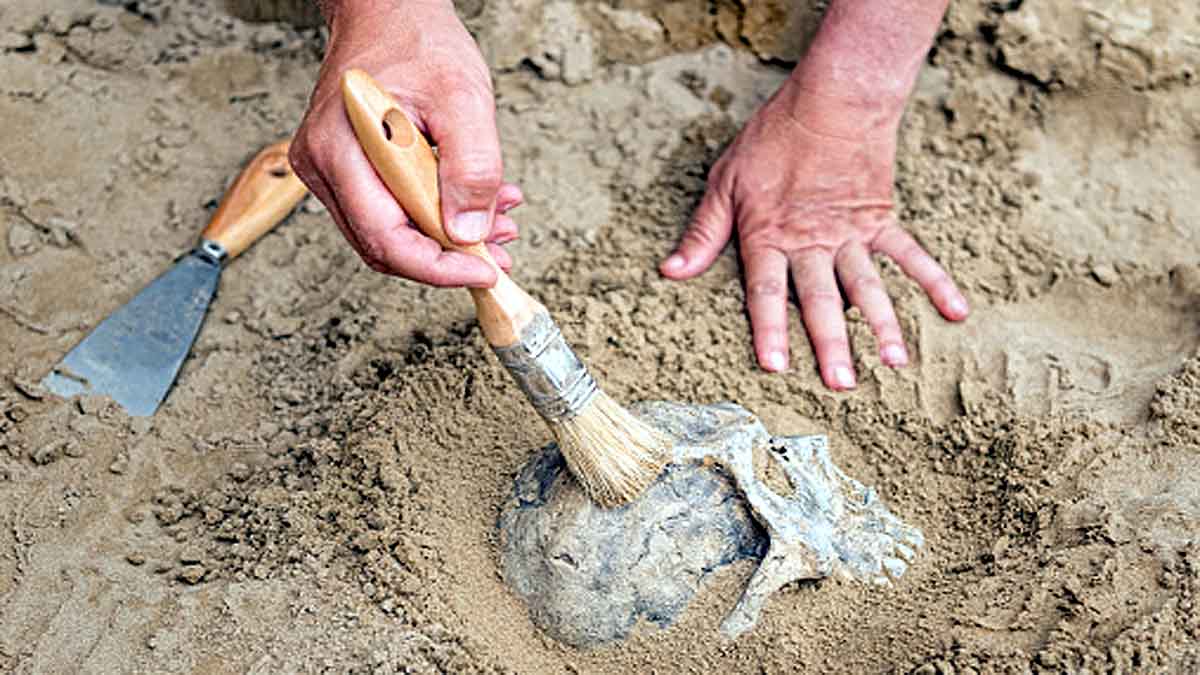 Giant Rhino in China