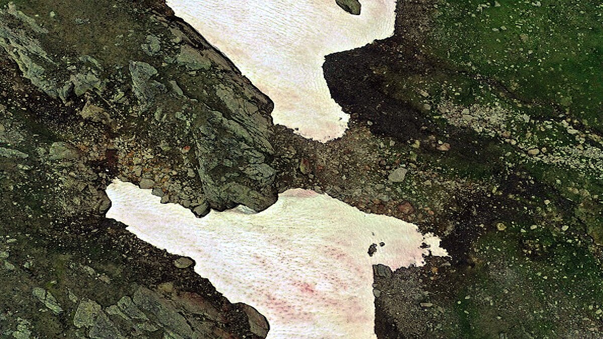 Glacier Blood Climate Change