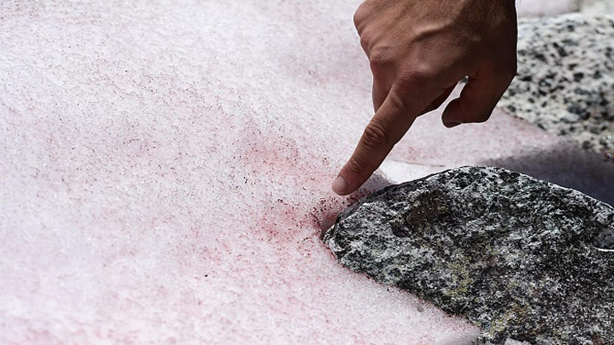 Glacier Blood Climate Change