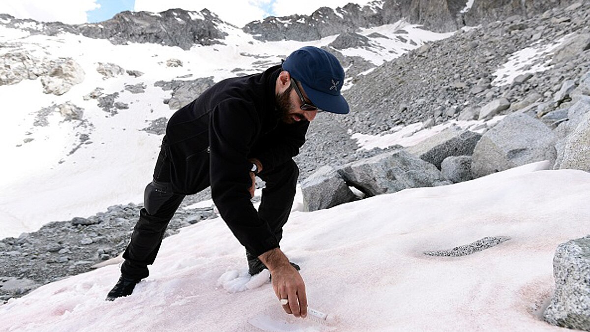 Glacier Blood Climate Change