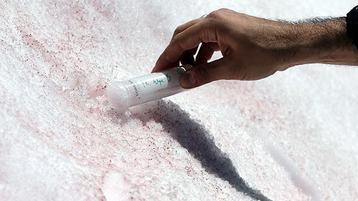 Glacier Blood Climate Change