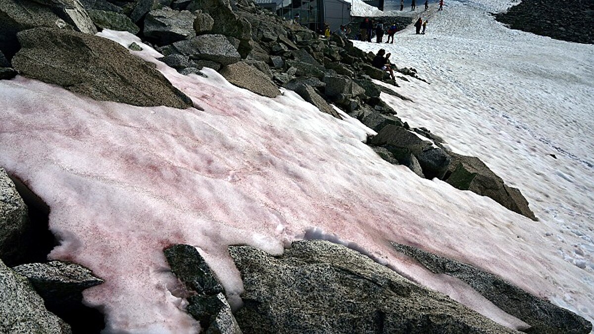 Glacier Blood Climate Change