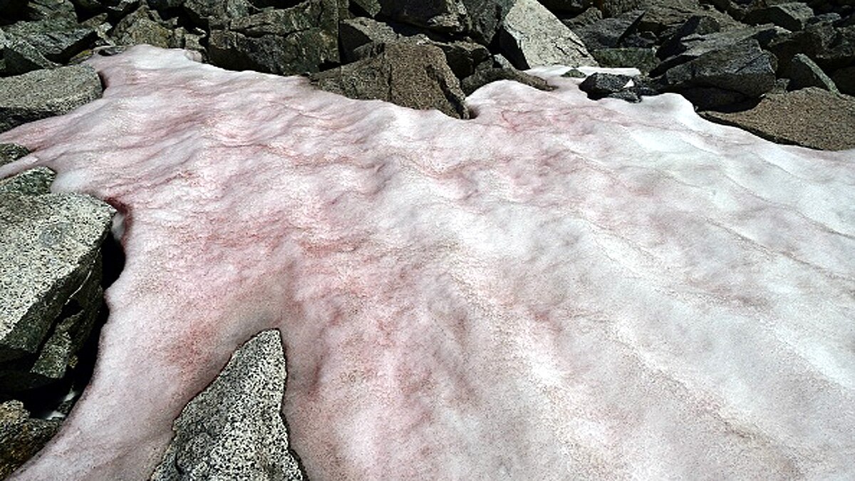 Glacier Blood Climate Change