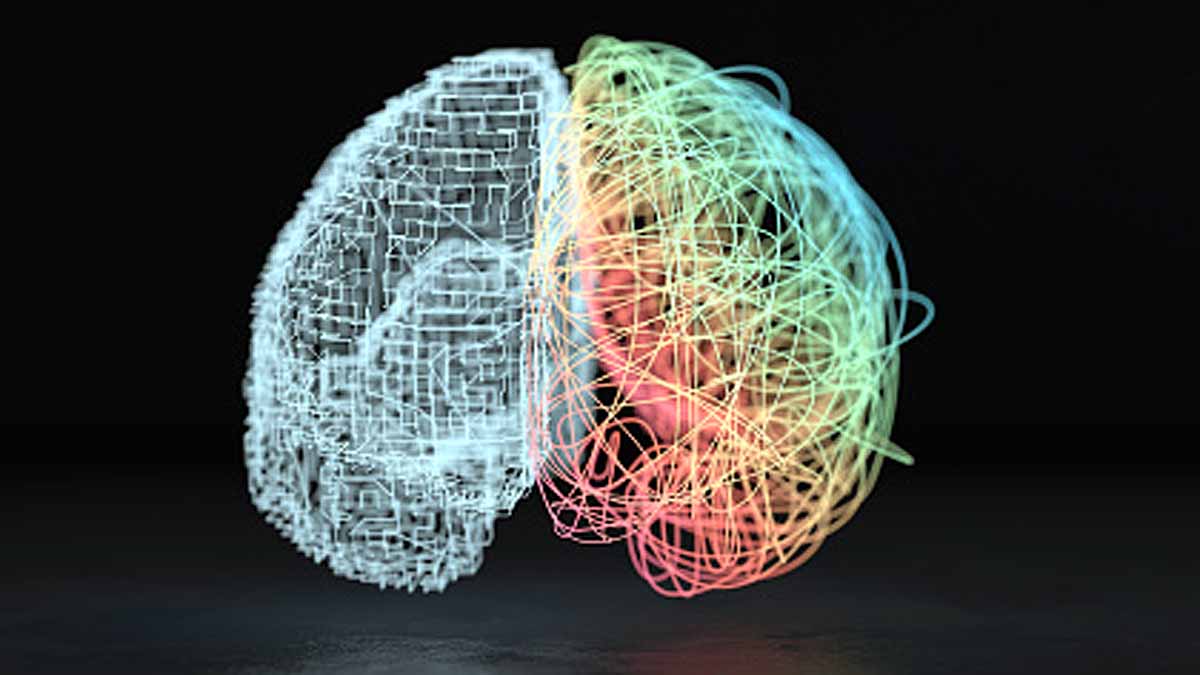 Google Mapped Human Brain
